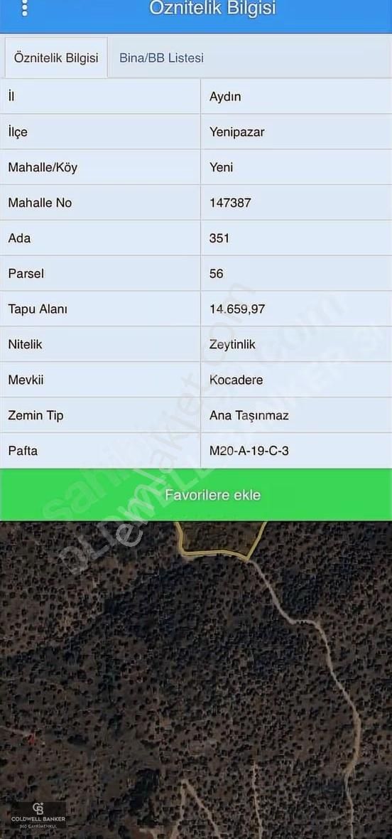 Satılık Aydın Yenipazar Mahallesinde 2 Parsel Zeytinlik - Görsel 2