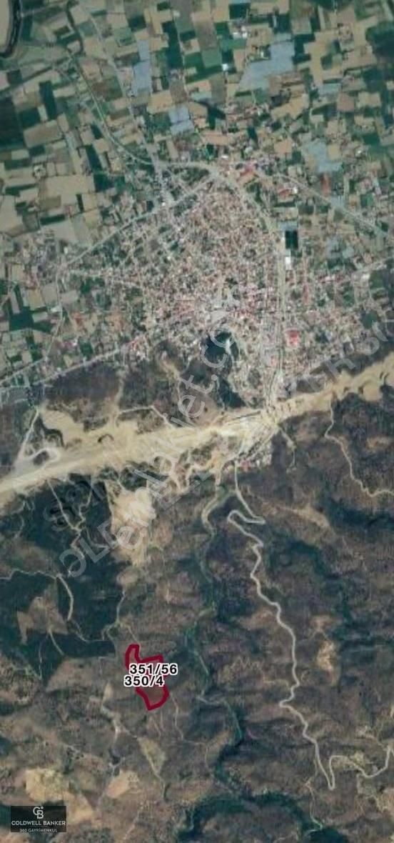 Satılık Aydın Yenipazar Mahallesinde 2 Parsel Zeytinlik - Görsel 8