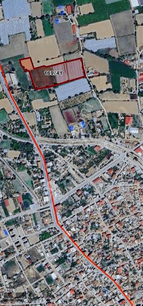 Aydın Yeni Pazar Da Satılık Tarla - Görsel 21