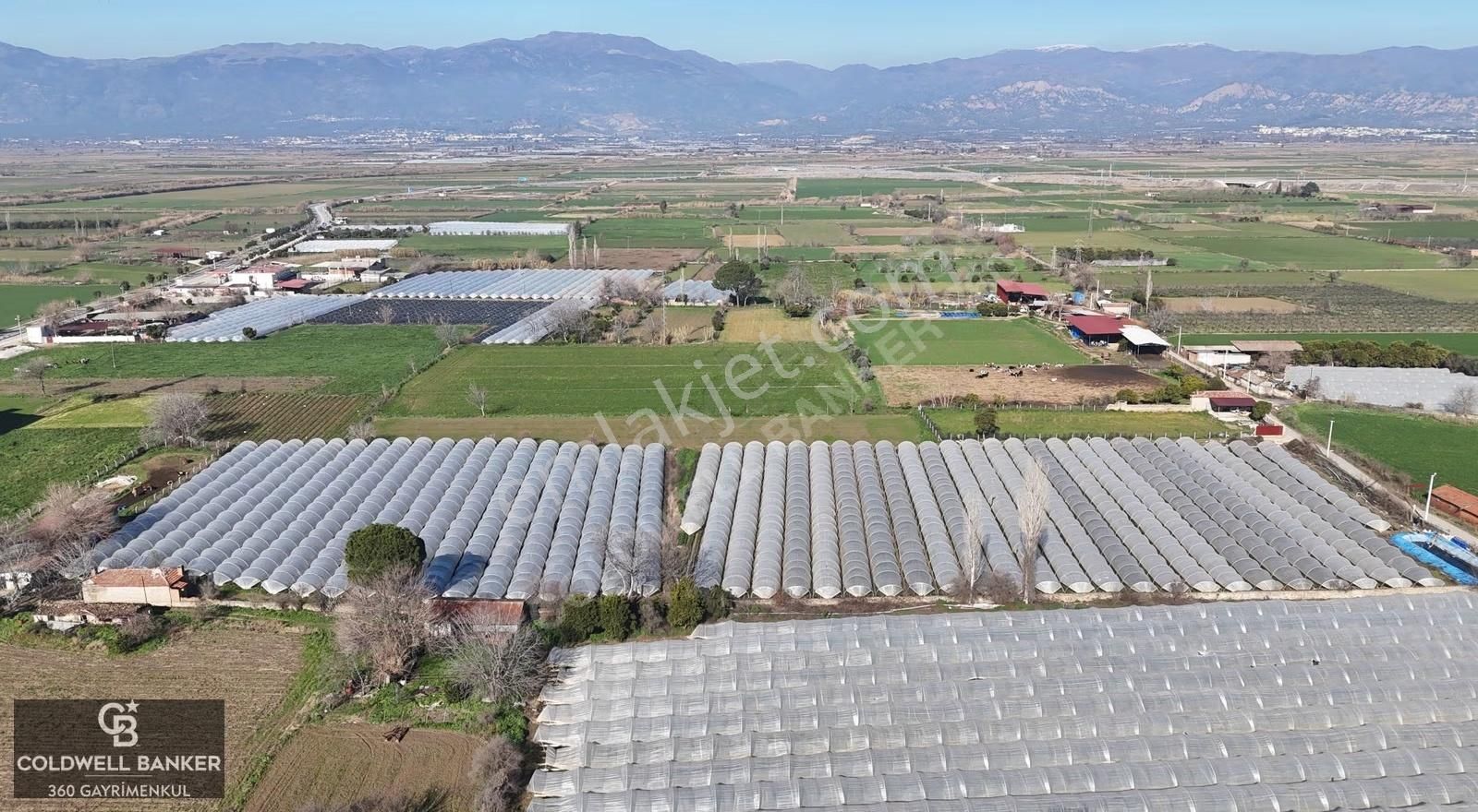 Aydın Yeni Pazar Da Satılık Tarla - Görsel 14