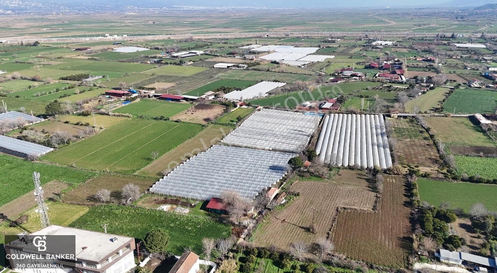 Aydın Yeni Pazar Da Satılık Tarla - Görsel 7