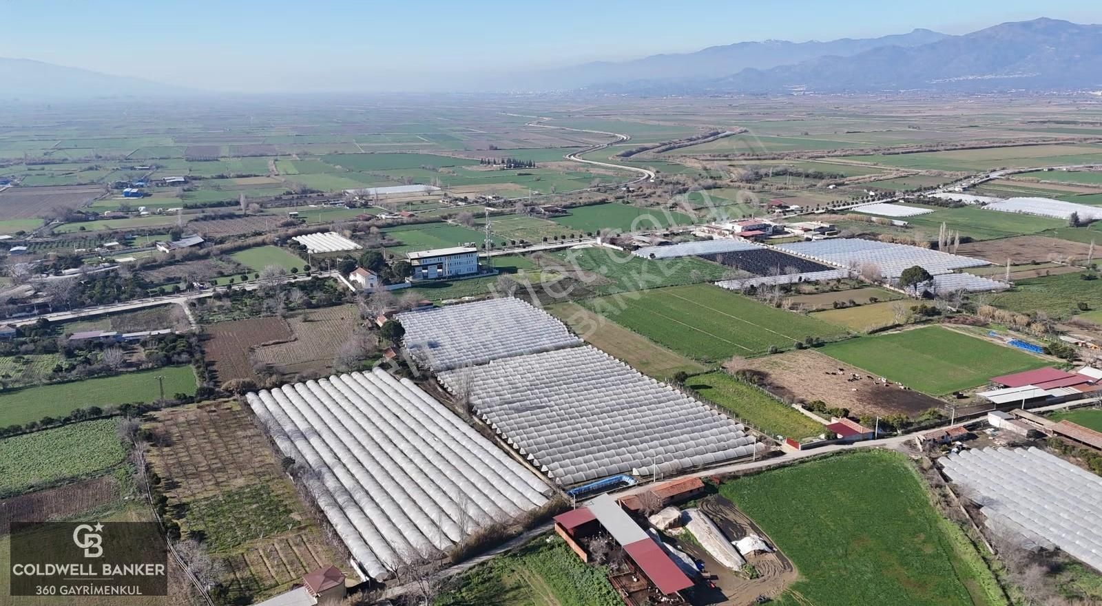 Aydın Yeni Pazar Da Satılık Tarla - Görsel 9