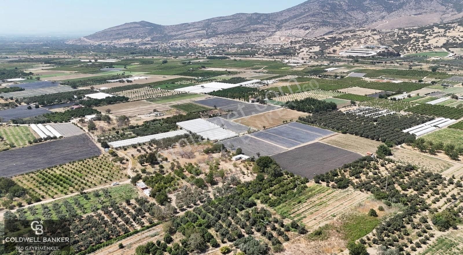 Menemen Emiralem Yayla Mah. Müstakil Parsel Tarla - Görsel 4