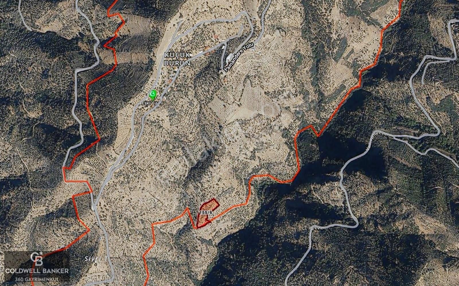 Tek Tapu! İzmir Tire Küçükburunda Satılık İncirlikzey.yolu Var - Görsel 3