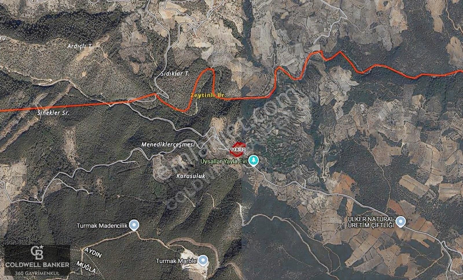 Aydın Bozdoğan Körtekede Satılık Zeytinlik Ve Cevizlik Arazi - Görsel 14