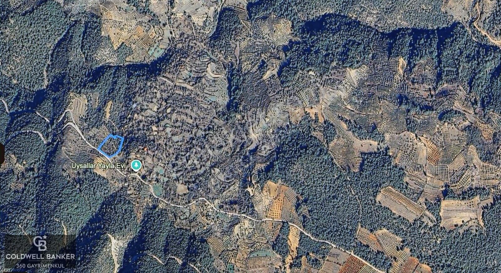 Aydın Bozdoğan Körtekede Satılık Zeytinlik Ve Cevizlik Arazi - Görsel 12