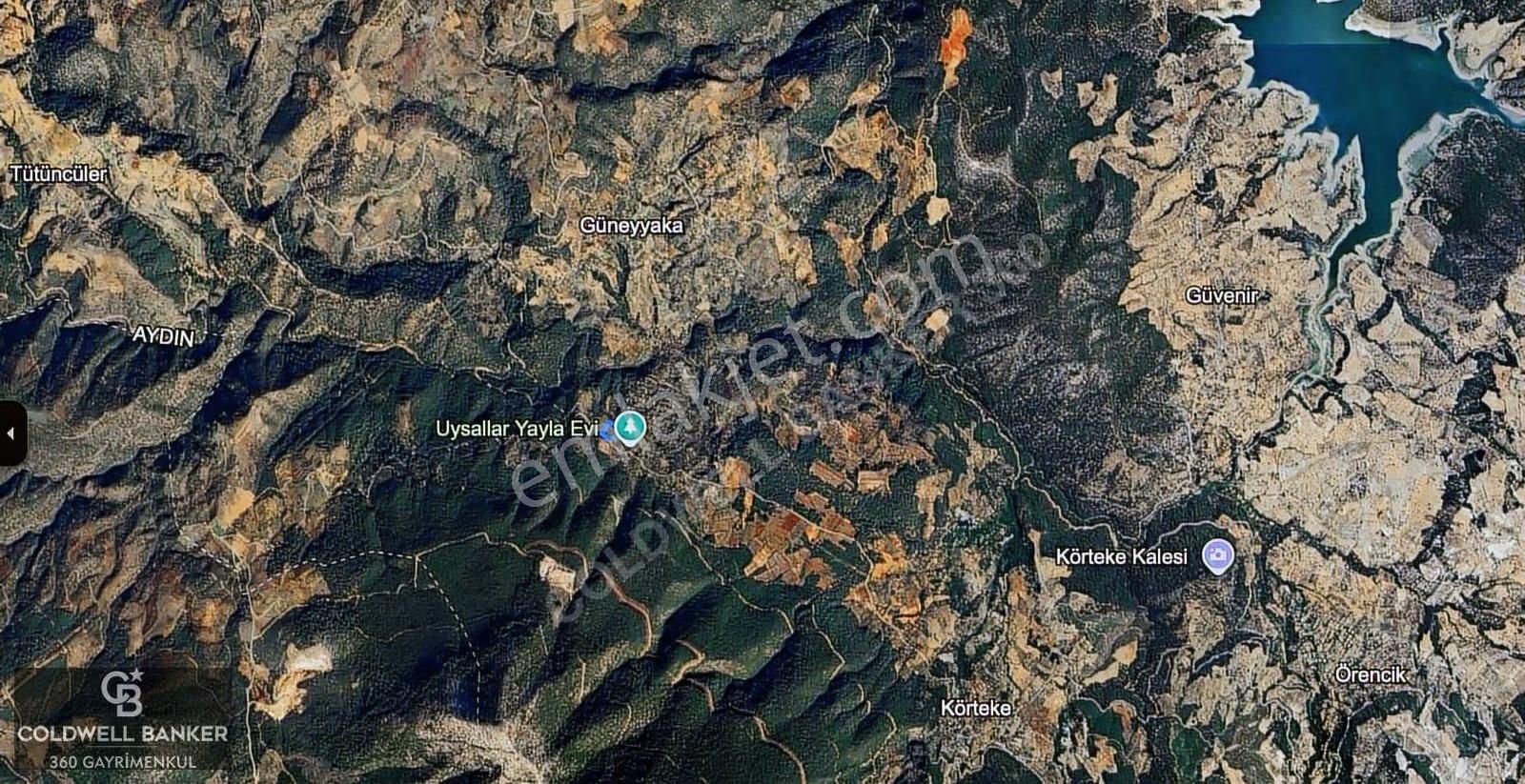 Aydın Bozdoğan Körtekede Satılık Zeytinlik Ve Cevizlik Arazi - Görsel 7