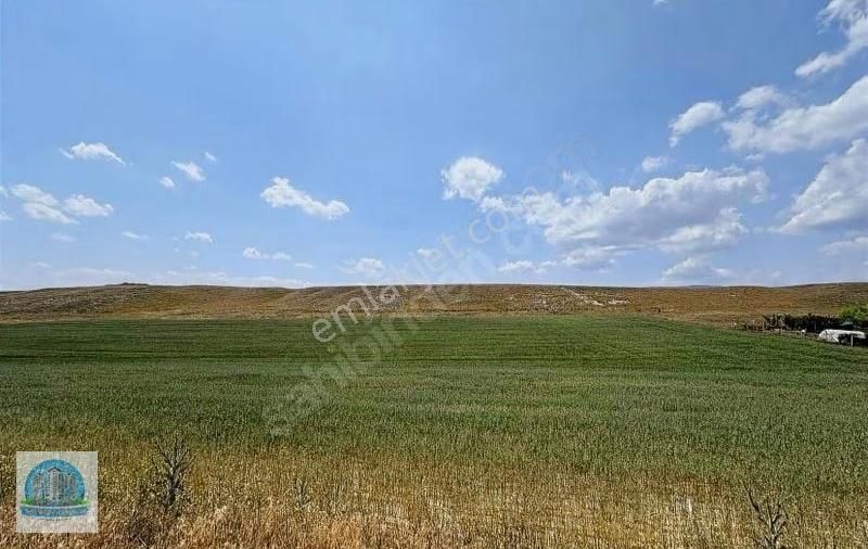 Şapinuva'dan Merkeze 3 Km Mesafede Satılık Tarla - Görsel 2