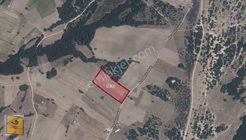 Akyüz Gayrimenkul Den G,m,k,paşa Mah De 615 Mt2 Satılık Hısse - Görsel 2