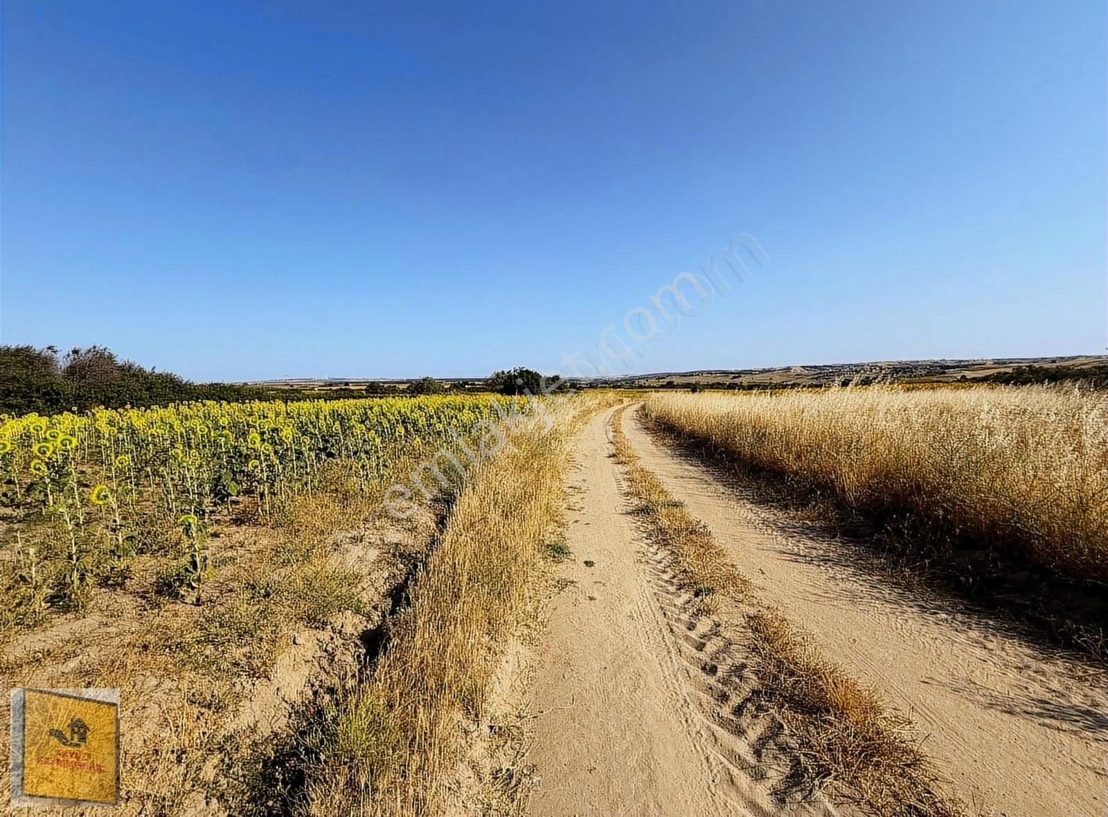 Akyüz Gayrımenkul Den Kızılpınarda Yola Cephe 1,651 Mt2 Tarla - Görsel 24