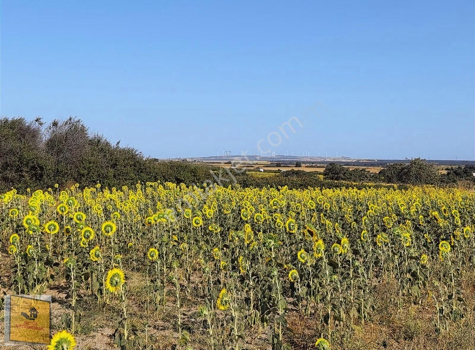 Akyüz Gayrımenkul Den Kızılpınarda Yola Cephe 1,651 Mt2 Tarla - Görsel 25