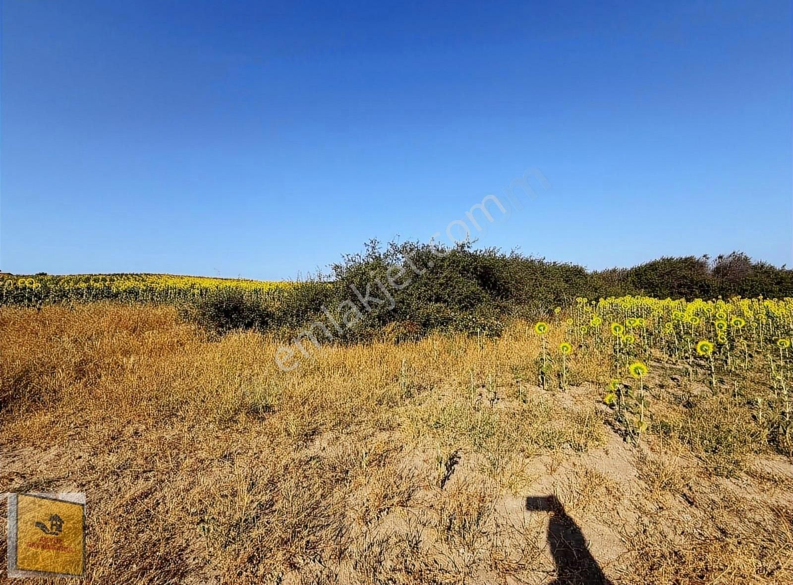Akyüz Gayrımenkul Den Kızılpınarda Yola Cephe 1,651 Mt2 Tarla - Görsel 11