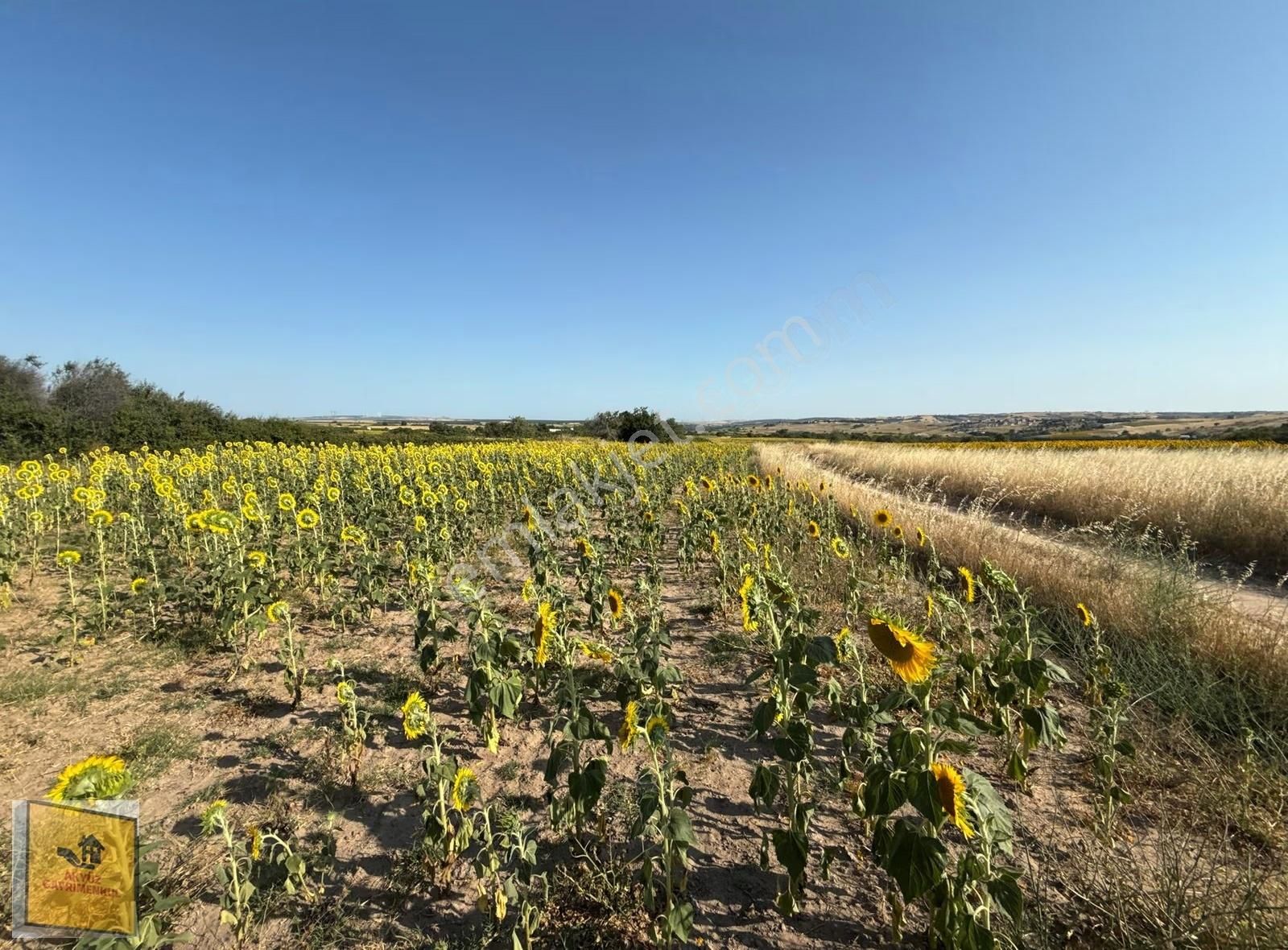 Akyüz Gayrımenkul Den Kızılpınarda Yola Cephe 1,651 Mt2 Tarla - Görsel 18