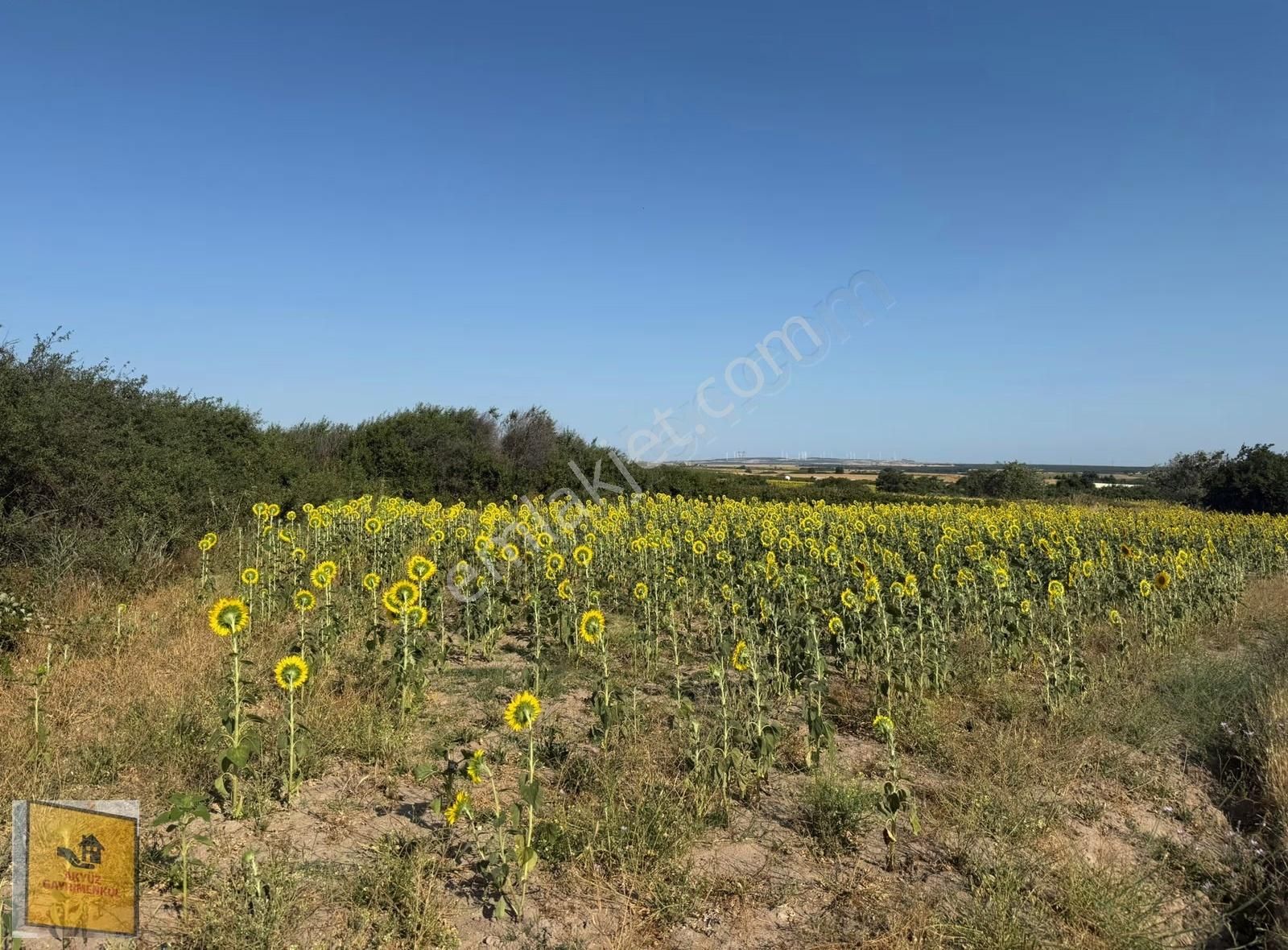 Akyüz Gayrımenkul Den Kızılpınarda Yola Cephe 1,651 Mt2 Tarla - Görsel 2