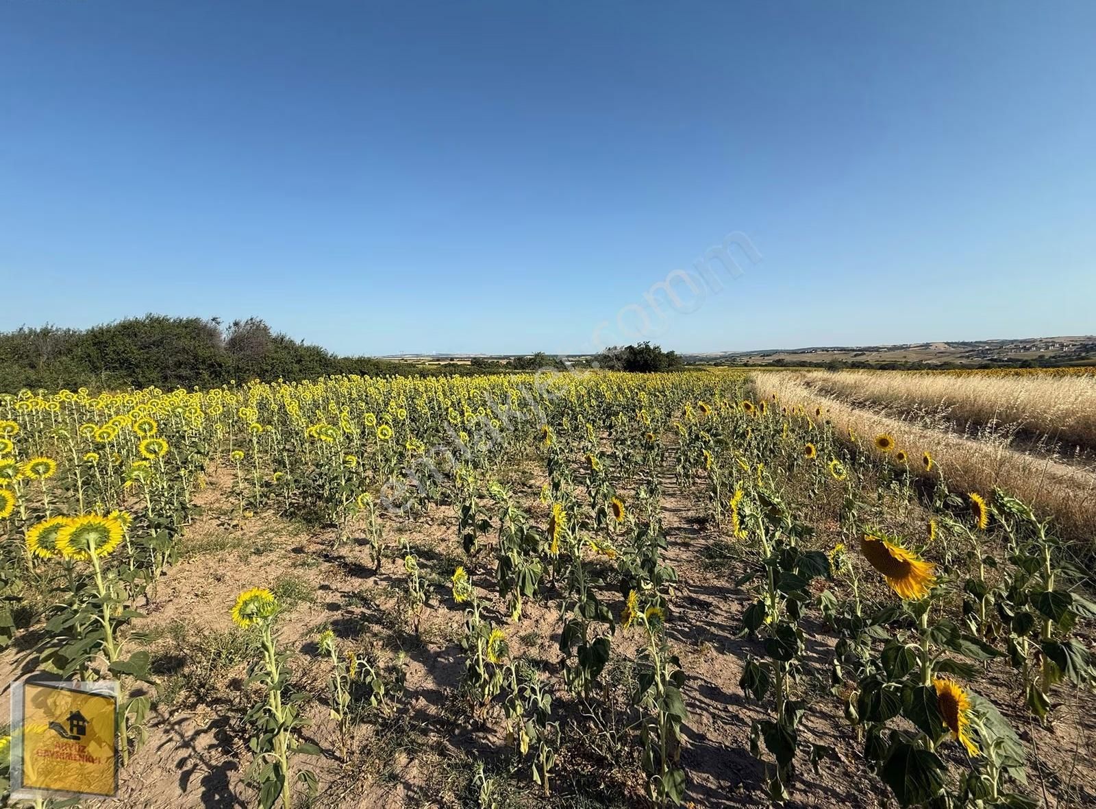 Akyüz Gayrımenkul Den Kızılpınarda Yola Cephe 1,651 Mt2 Tarla - Görsel 21
