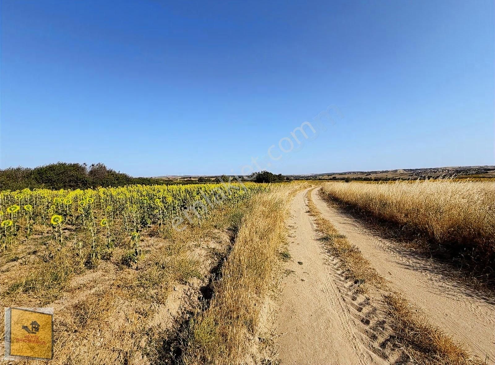 Akyüz Gayrımenkul Den Kızılpınarda Yola Cephe 1,651 Mt2 Tarla - Görsel 6