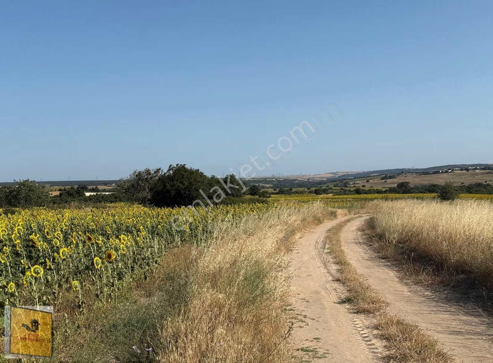 Akyüz Gayrımenkul Den Kızılpınarda Yola Cephe 1,651 Mt2 Tarla - Görsel 3