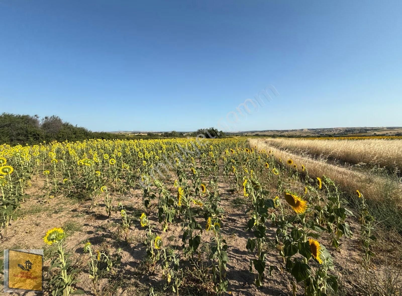 Akyüz Gayrımenkul Den Kızılpınarda Yola Cephe 1,651 Mt2 Tarla - Görsel 7