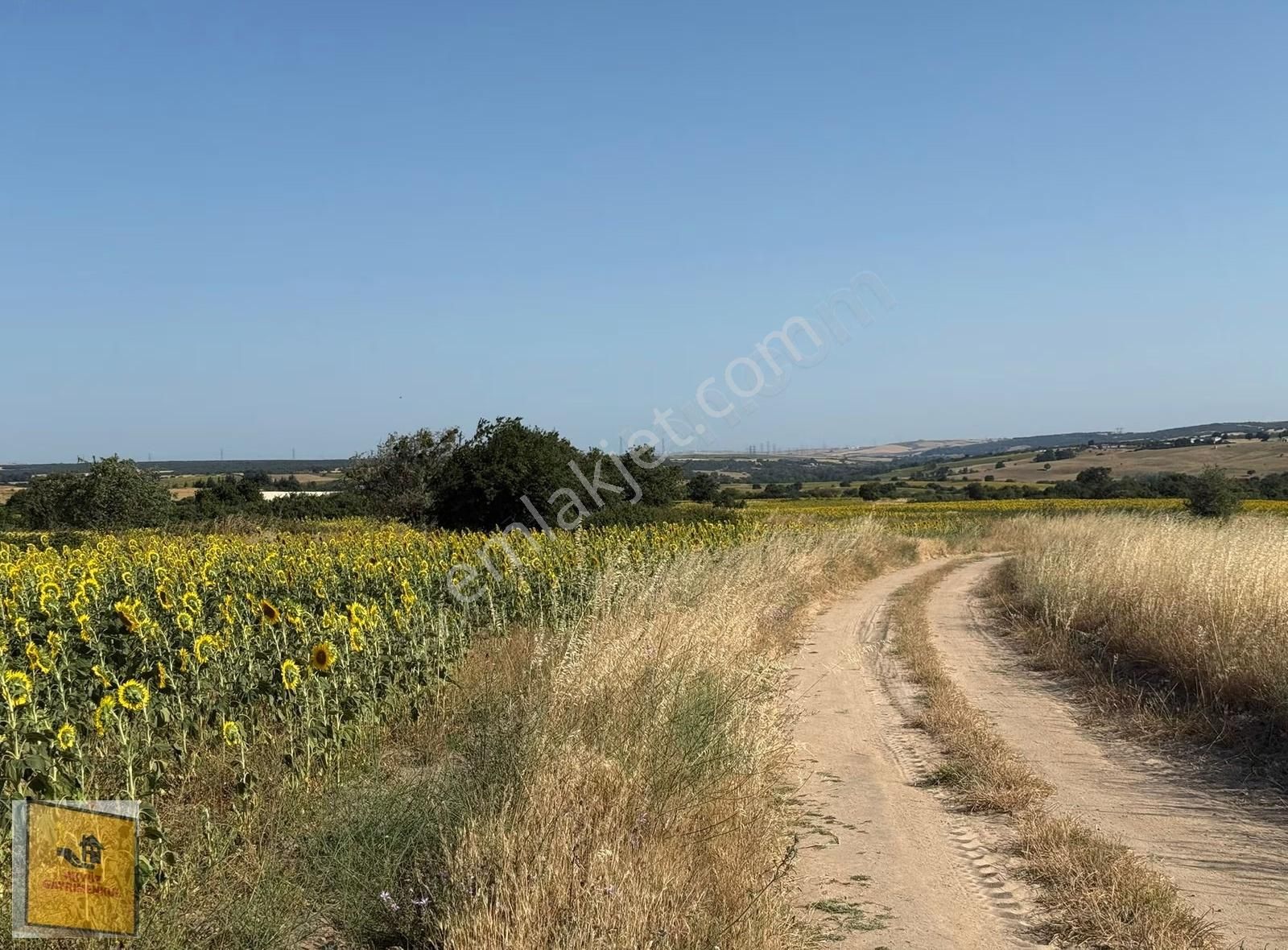 Akyüz Gayrımenkul Den Kızılpınarda Yola Cephe 1,651 Mt2 Tarla - Görsel 26