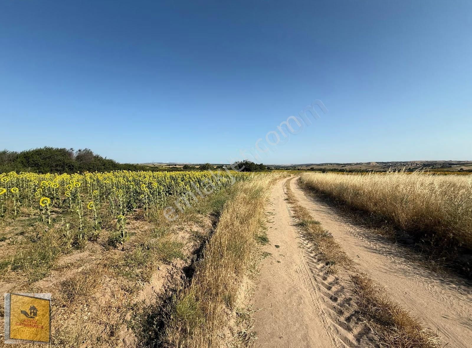 Akyüz Gayrımenkul Den Kızılpınarda Yola Cephe 1,651 Mt2 Tarla - Görsel 22