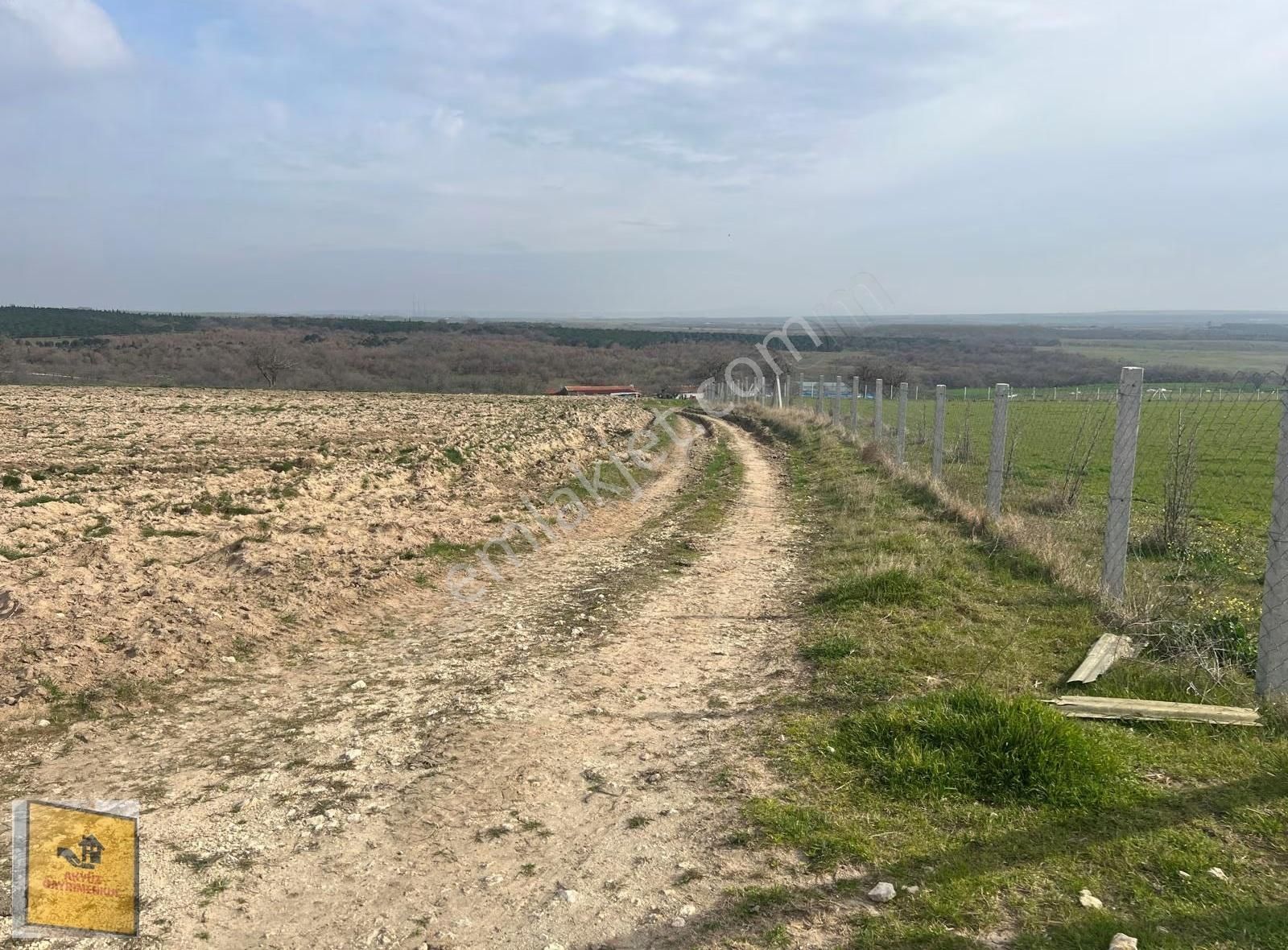 Akyüz Den Kızılpınar Mah De Yola Cephe 10,633 Mt2 Satılık Tarla - Görsel 21