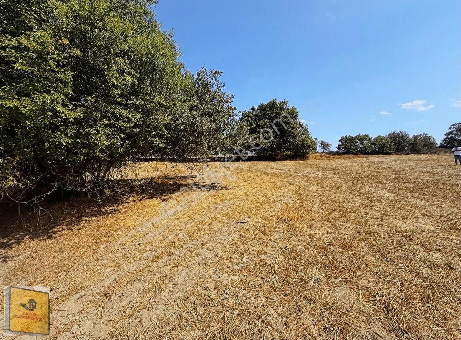 Akyüz Gayrımenkul Den Kızılpınar Mah De 2,830 Mt2 Tek Tapu Tarla - Görsel 16