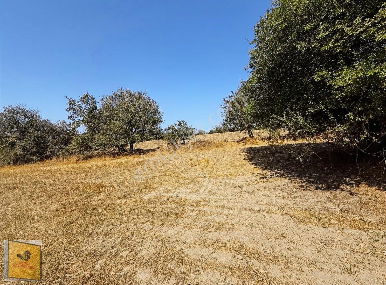 Akyüz Gayrımenkul Den Kızılpınar Mah De 2,830 Mt2 Tek Tapu Tarla - Görsel 12