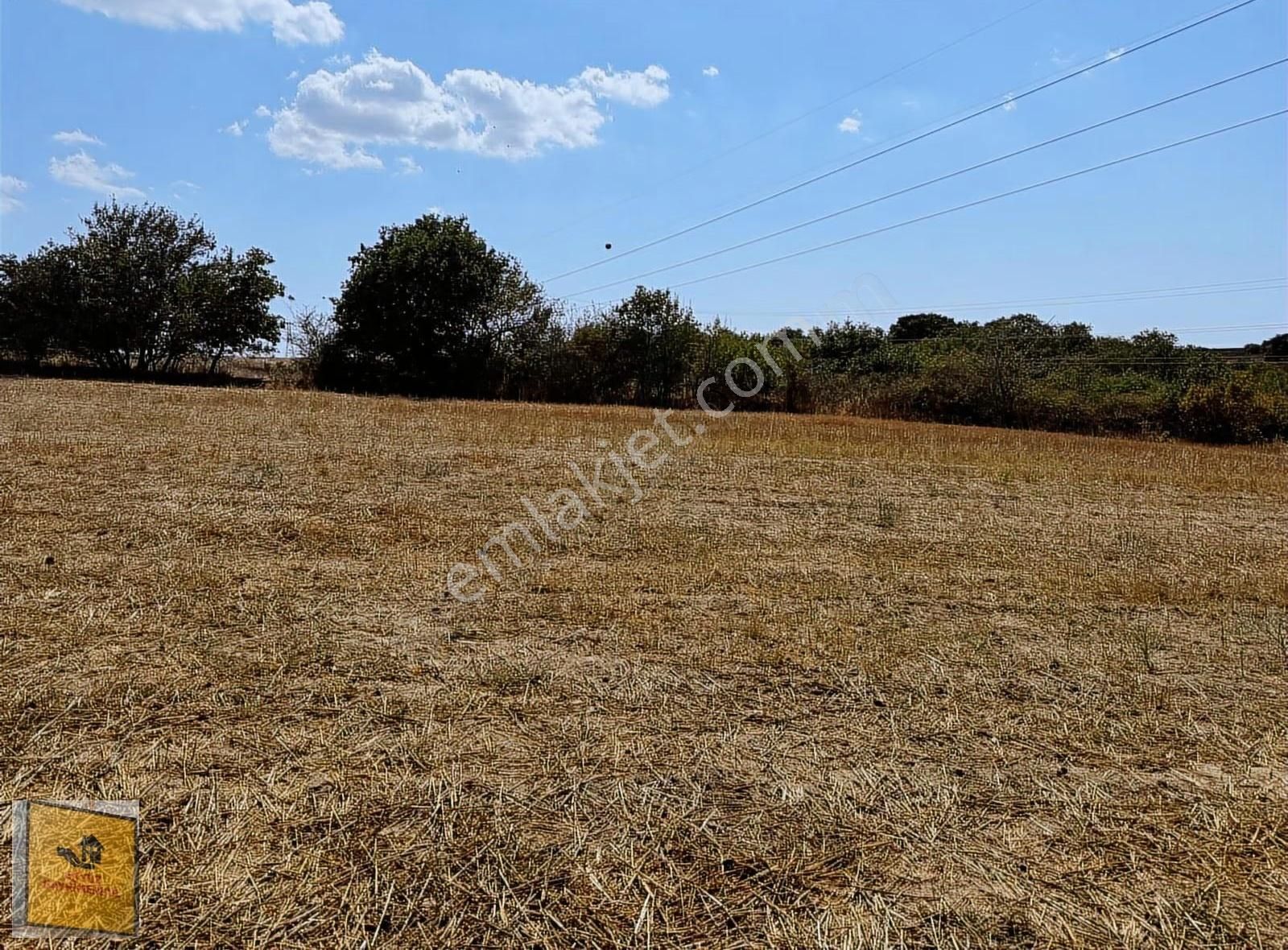 Akyüz Gayrımenkul Den Kızılpınar Mah De 2,830 Mt2 Tek Tapu Tarla - Görsel 13