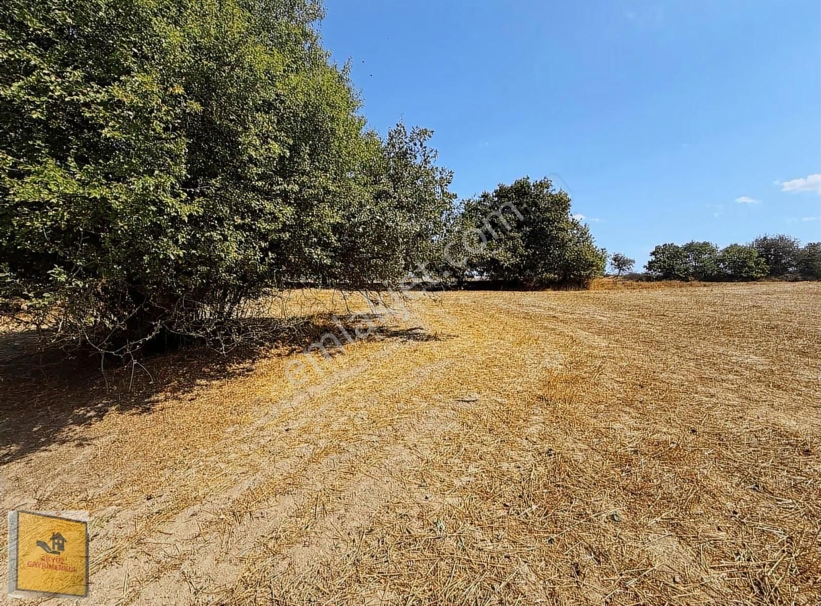 Akyüz Gayrımenkul Den Kızılpınar Mah De 2,830 Mt2 Tek Tapu Tarla - Görsel 15