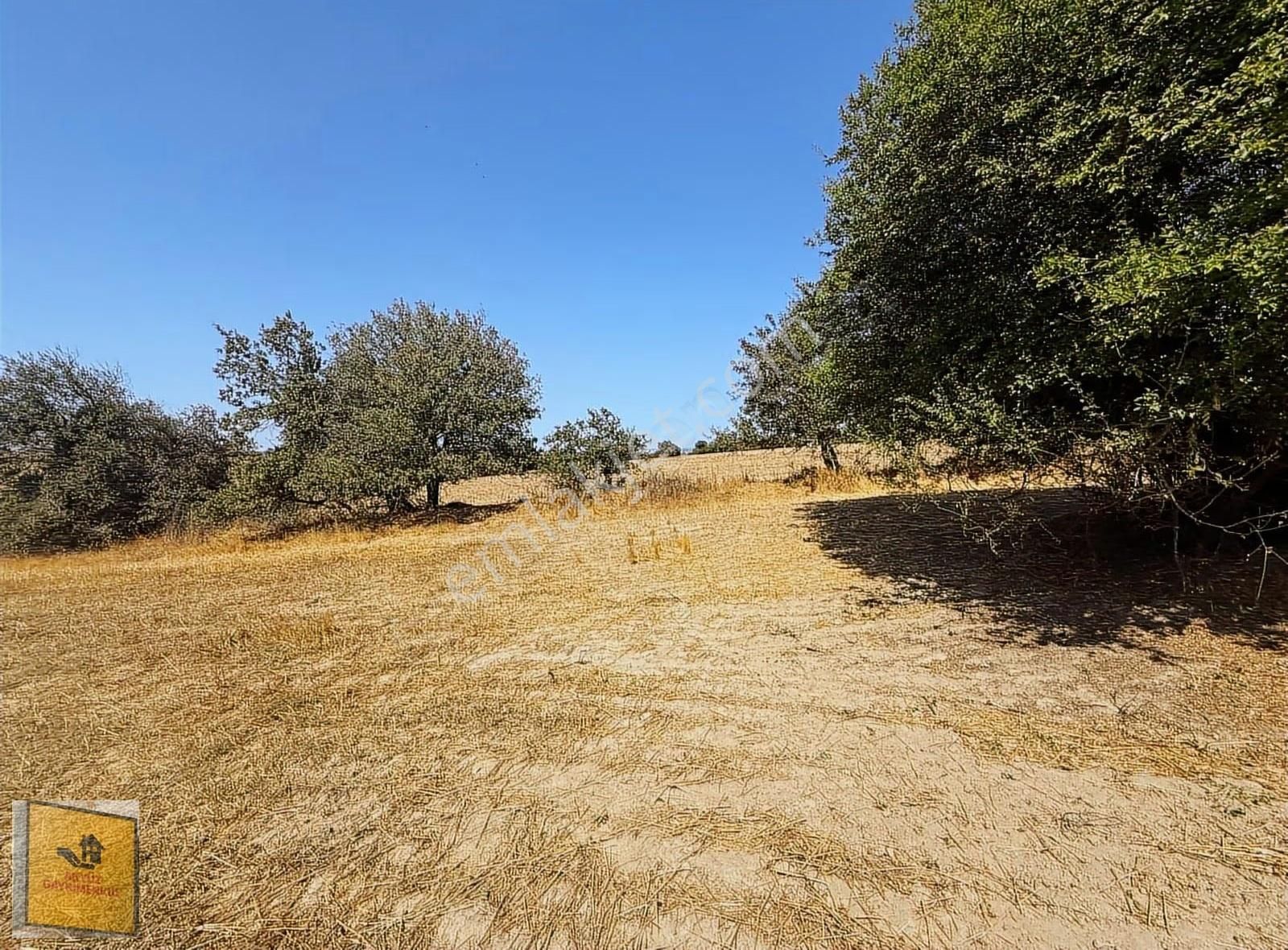 Akyüz Gayrımenkul Den Kızılpınar Mah De 2,830 Mt2 Tek Tapu Tarla - Görsel 6