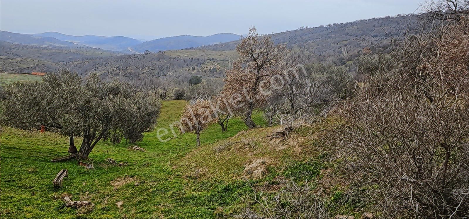 Bergama Dereköy'de Müstakil Tapulu Arsalar - Görsel 9