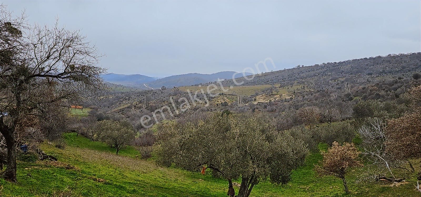Bergama Dereköy'de Müstakil Tapulu Arsalar - Görsel 15