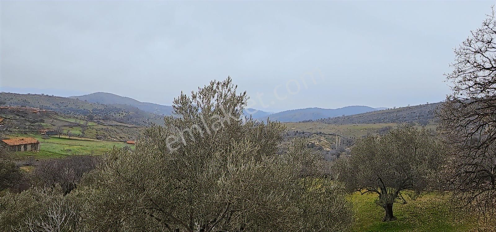 Bergama Dereköy'de Müstakil Tapulu Arsalar - Görsel 6