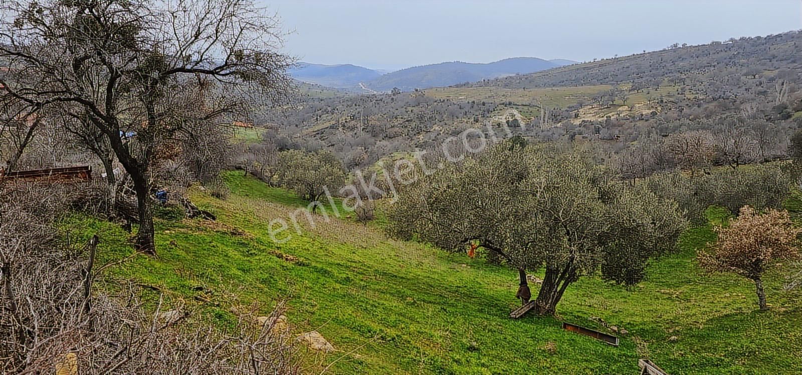 Bergama Dereköy'de Müstakil Tapulu Arsalar - Görsel 14