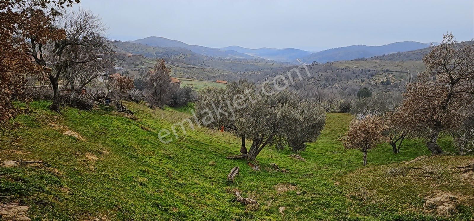 Bergama Dereköy'de Müstakil Tapulu Arsalar - Görsel 5