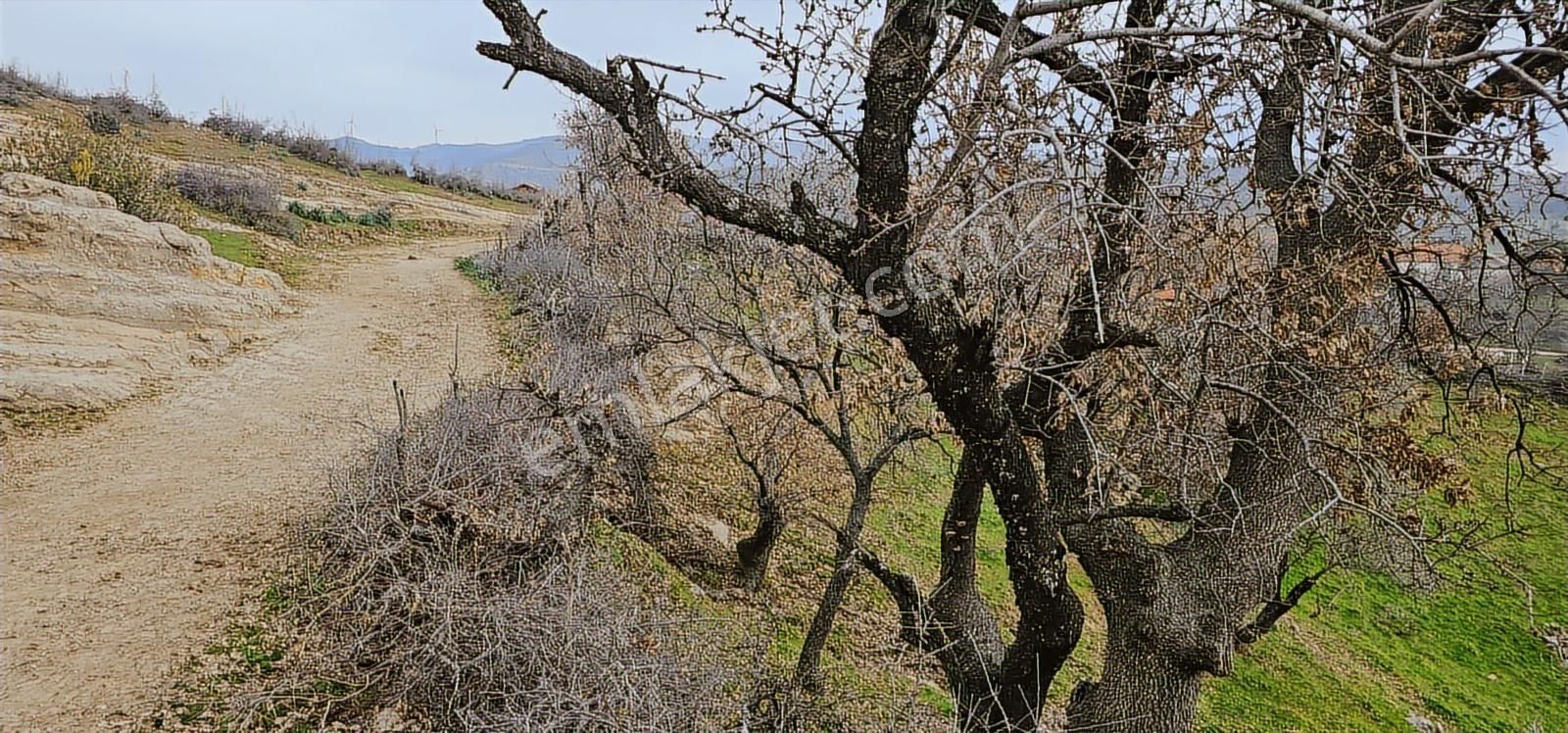 Bergama Dereköy'de Müstakil Tapulu Arsalar - Görsel 4