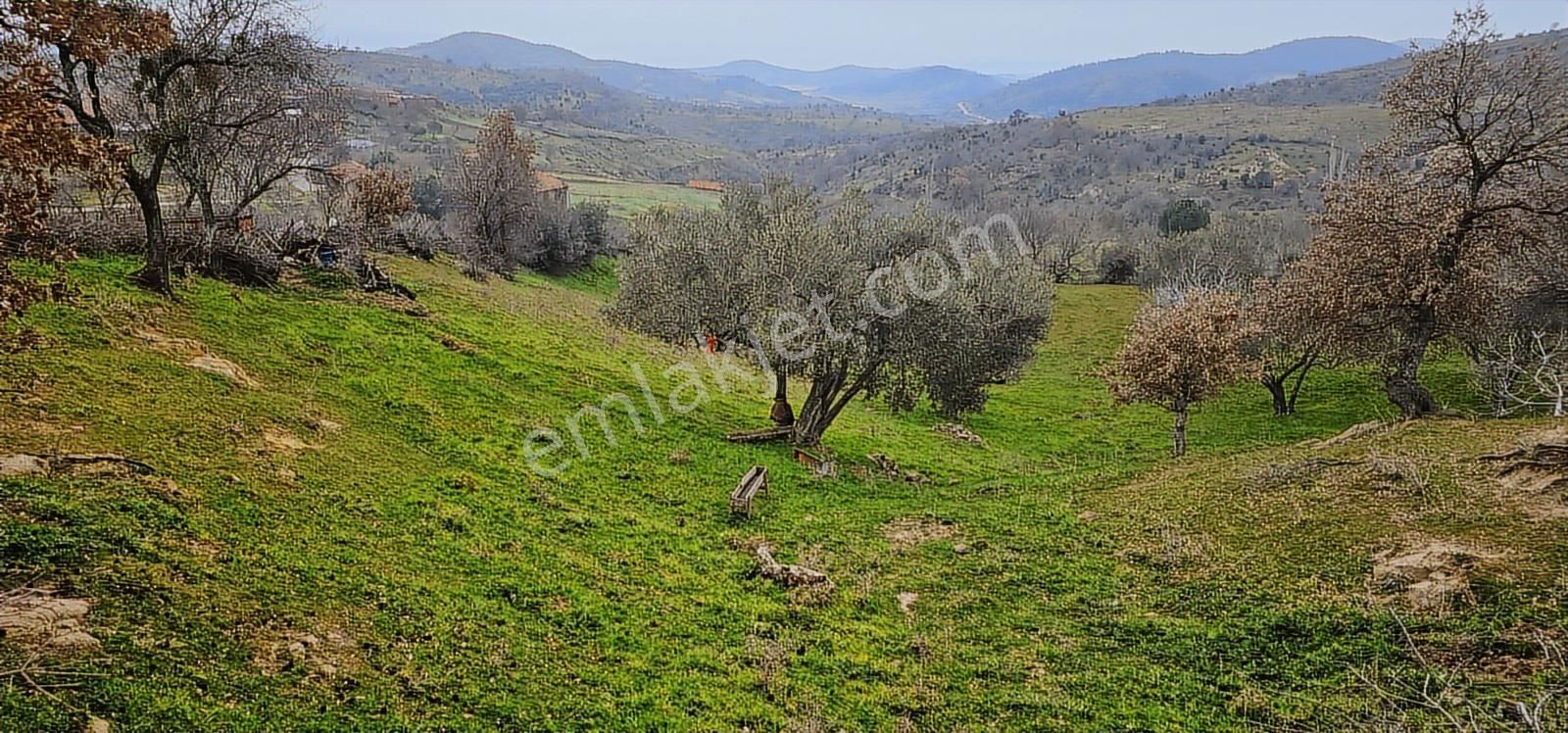 Bergama Dereköy'de Müstakil Tapulu Arsalar