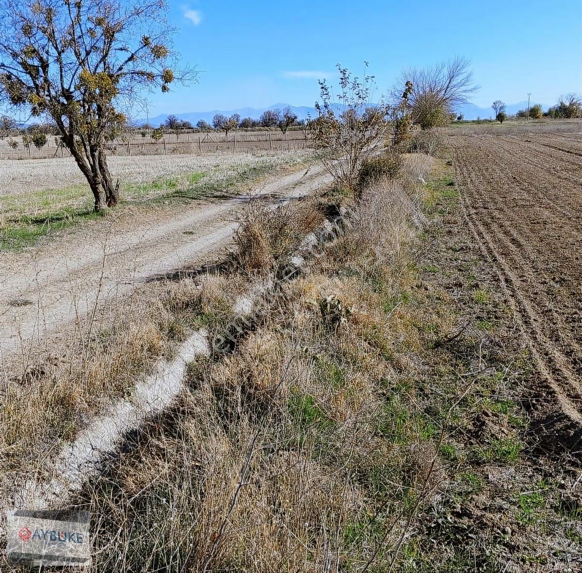 Serinhisar Yatağan Yüregil Sınırına Yakın Sulak Arazi. - Görsel 11