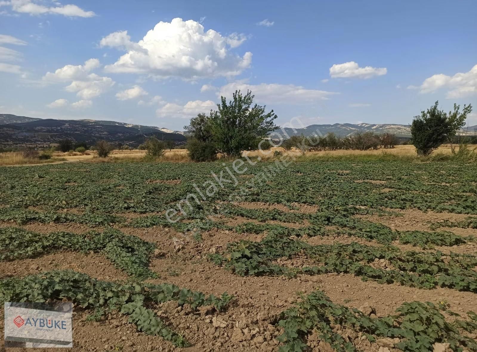Serinhisar Yatağan Yüregil Sınırına Yakın Sulak Arazi. - Görsel 2