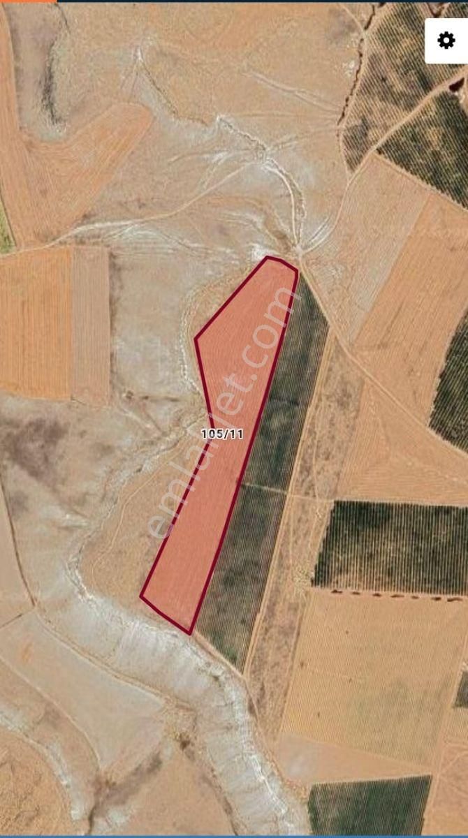 Net Emlaktan Sakaryabaşında Satılık Tarla