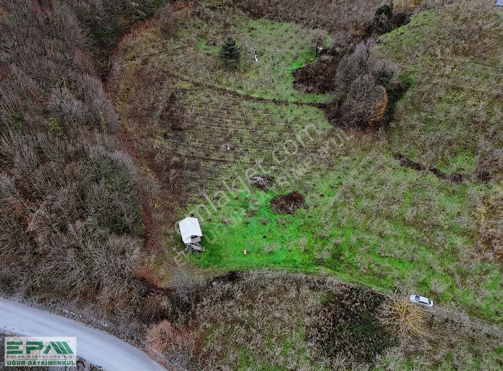 Epa Uğur'dan Asar Köyünde Satılık 5.400 M² Fındıklık - Görsel 9