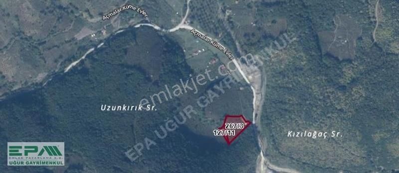 Epa Uğur'dan Asar Köyünde Satılık 5.400 M² Fındıklık - Görsel 5