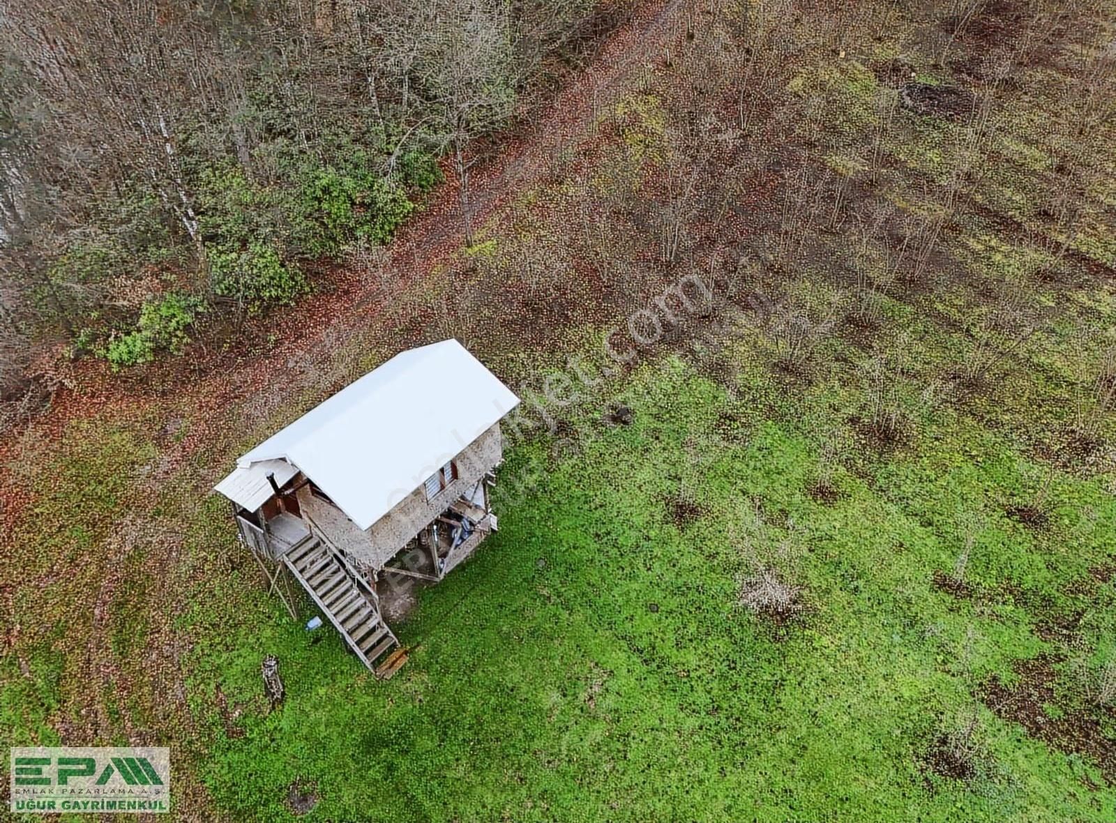 Epa Uğur'dan Asar Köyünde Satılık 5.400 M² Fındıklık