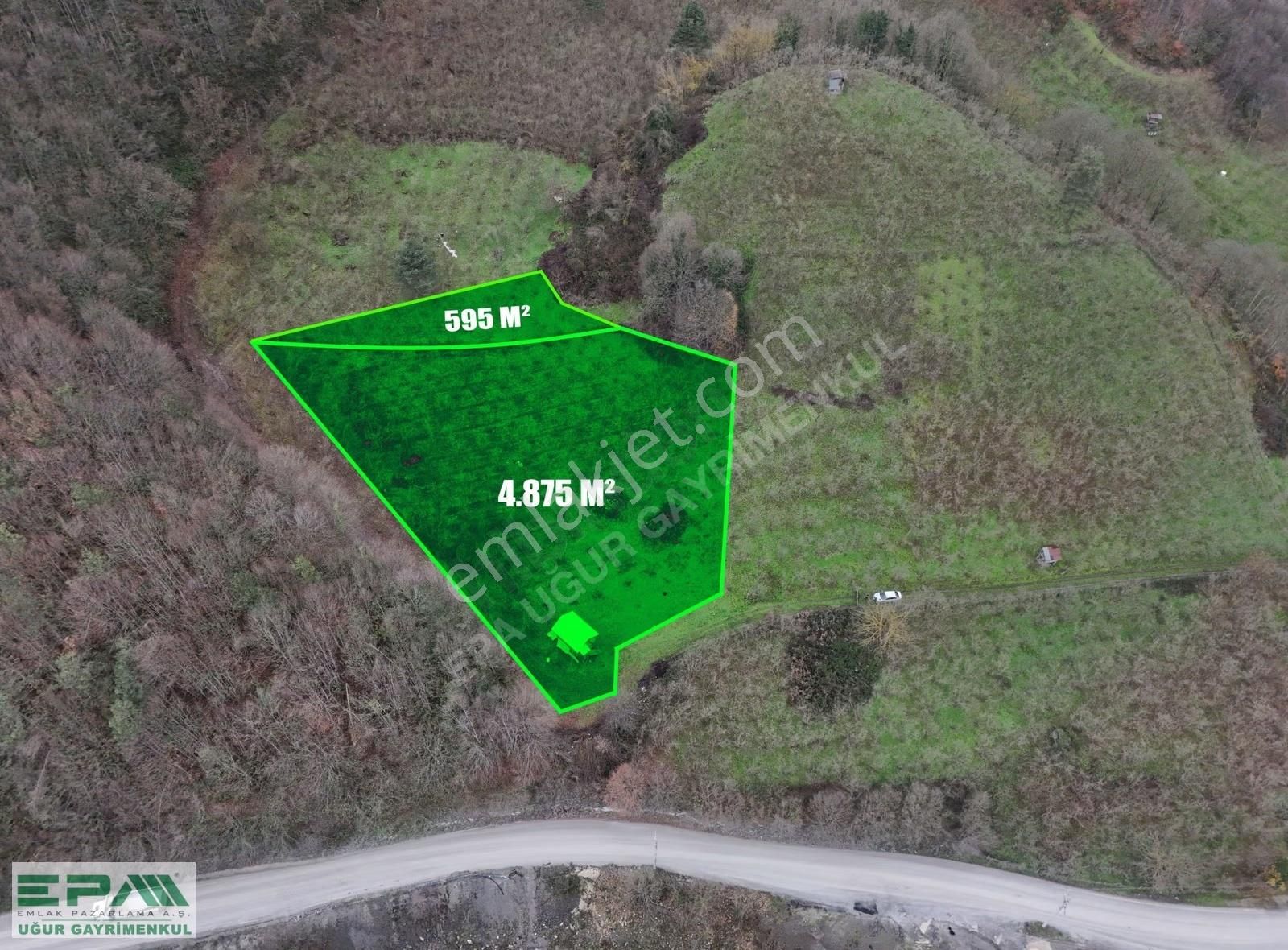 Epa Uğur'dan Asar Köyünde Satılık 5.400 M² Fındıklık - Görsel 12