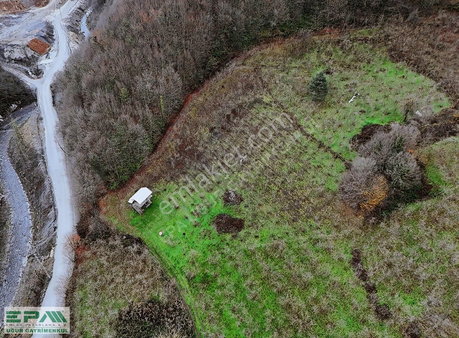 Epa Uğur'dan Asar Köyünde Satılık 5.400 M² Fındıklık - Görsel 11