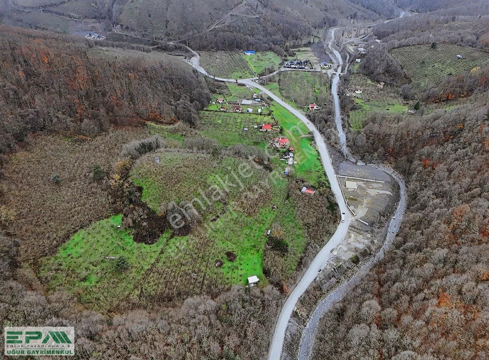 Epa Uğur'dan Asar Köyünde Satılık 5.400 M² Fındıklık - Görsel 8