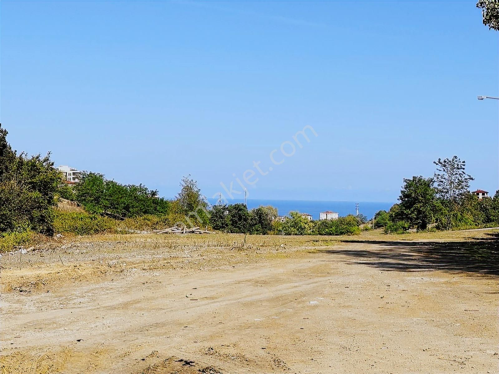 Büyükoyumca'da 5 Kat 1.50 Emsal Köşe Parsel Arsa - Görsel 5