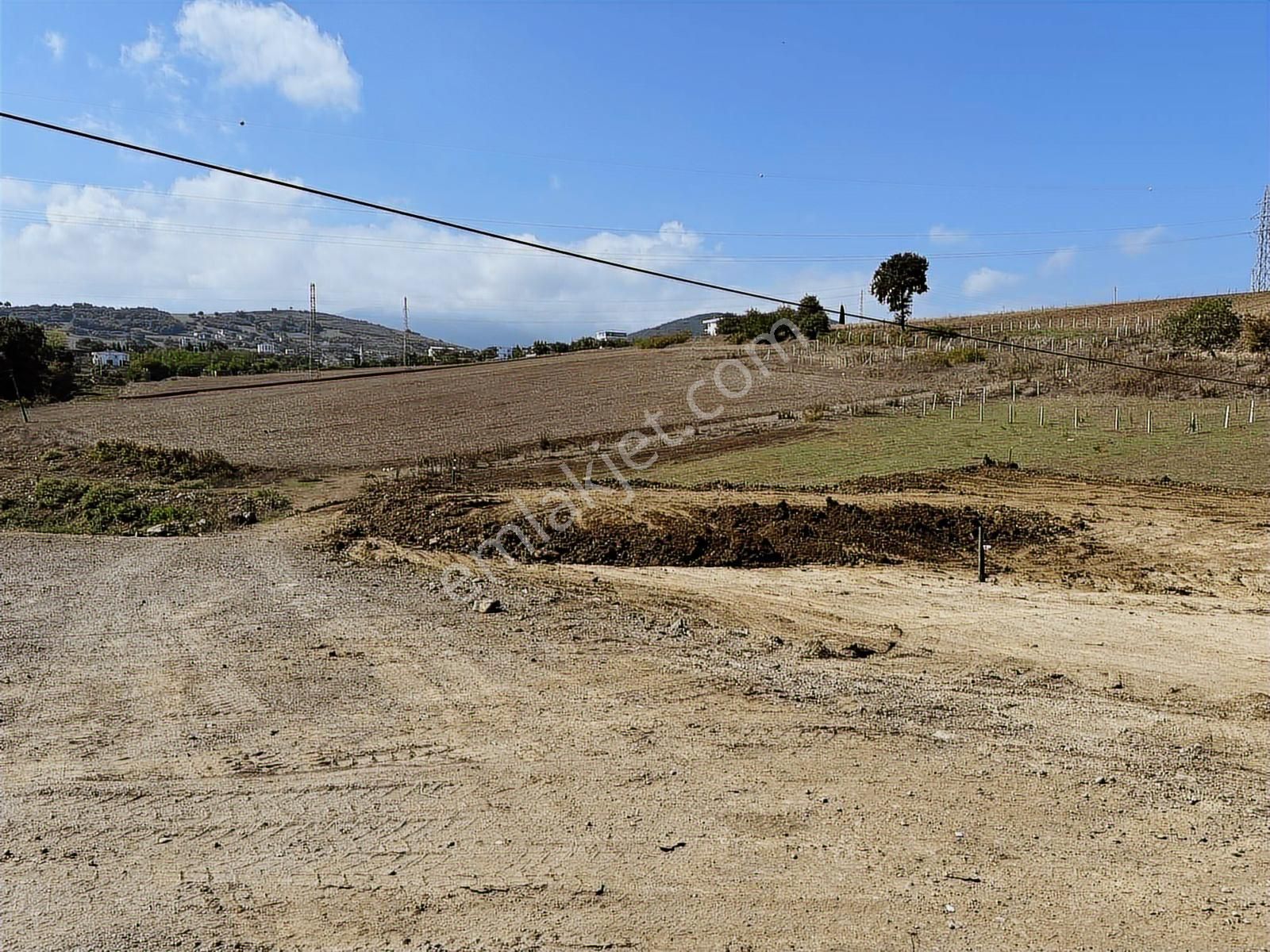 Büyükoyumca'da 5 Kat 1.50 Emsal Köşe Parsel Arsa - Görsel 16
