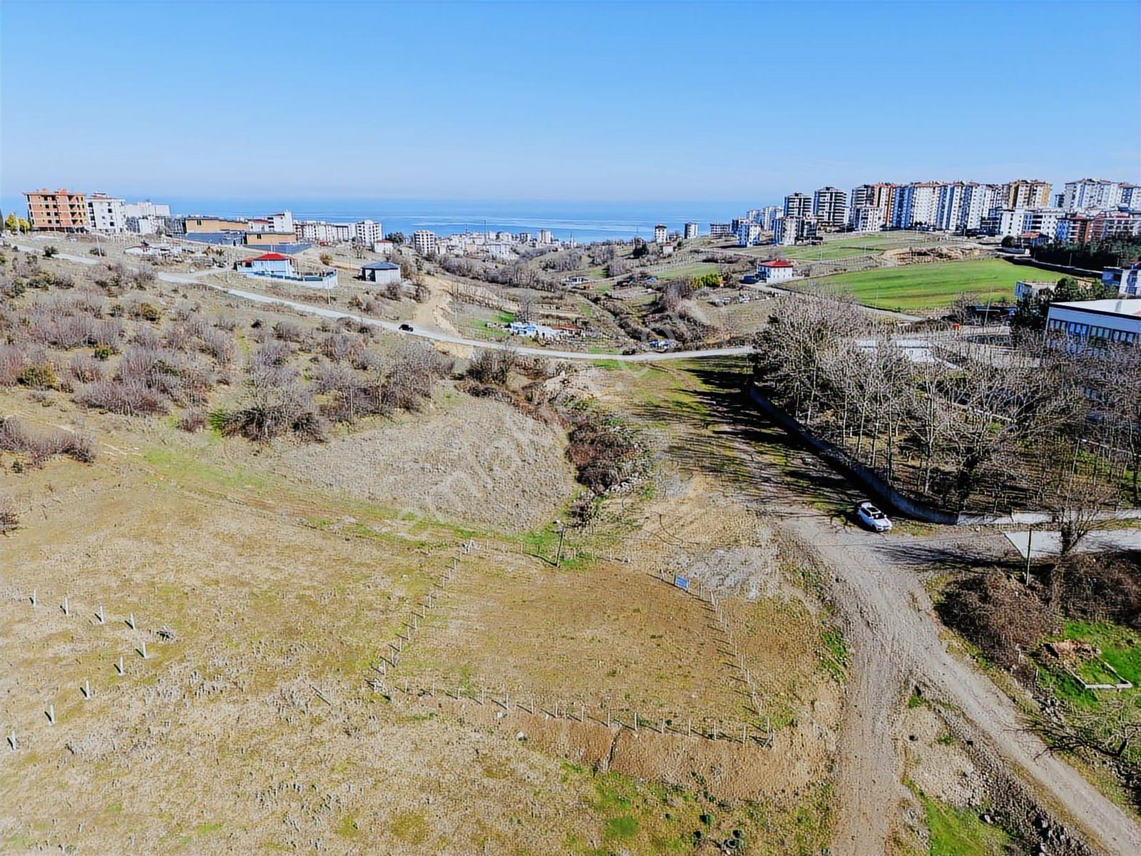 Büyükoyumca'da 5 Kat 1.50 Emsal 758 M2 Köşe Parsel Arsa - Görsel 5