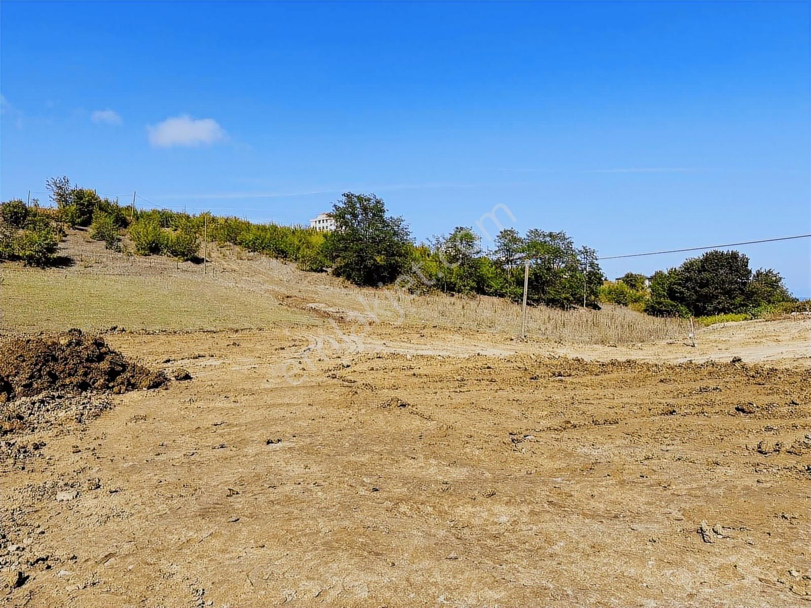 Büyükoyumca'da 5 Kat 1.50 Emsal Köşe Parsel Arsa - Görsel 12